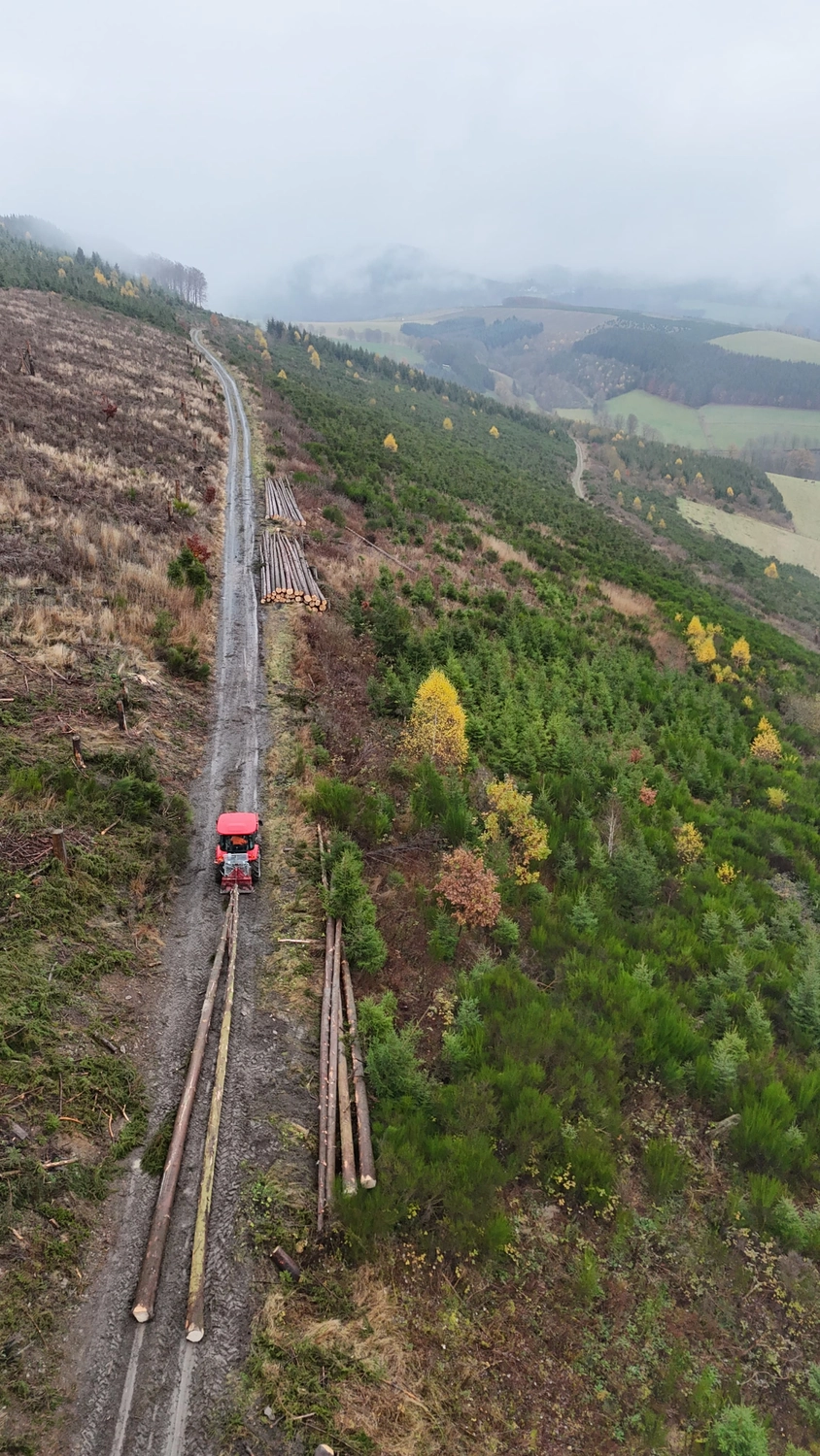 Wald- und Gartenpflege Göddecke – Baumfällung
