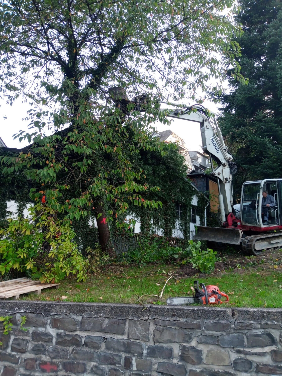 Wald- und Gartenpflege Göddecke – Baumfällungen & Problembaumfällung