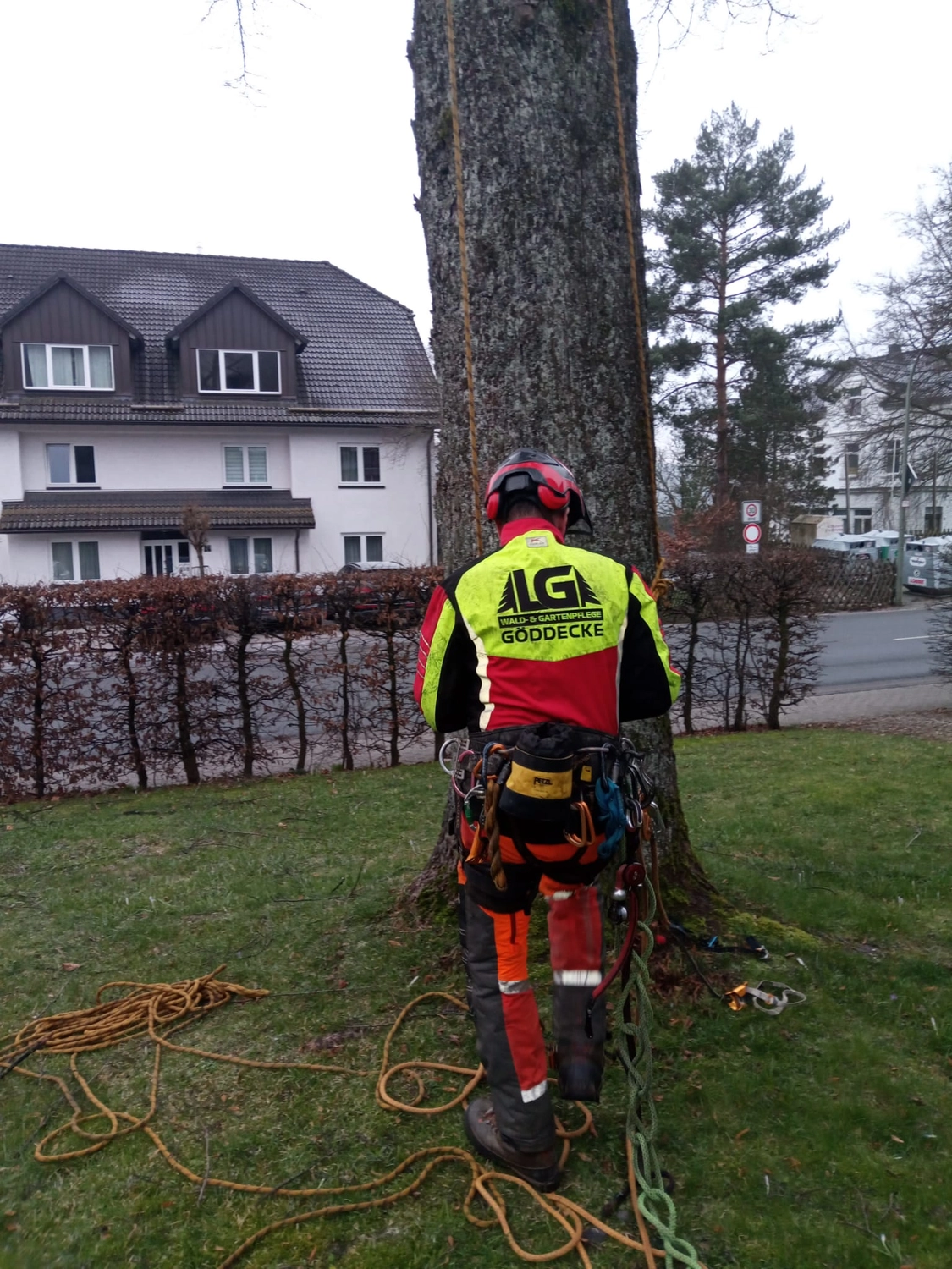 Wald- und Gartenpflege Göddecke – Baumpflege