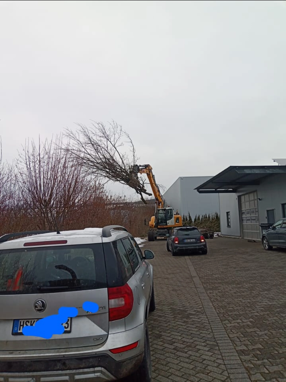 Wald- und Gartenpflege Göddecke – Baumfällung