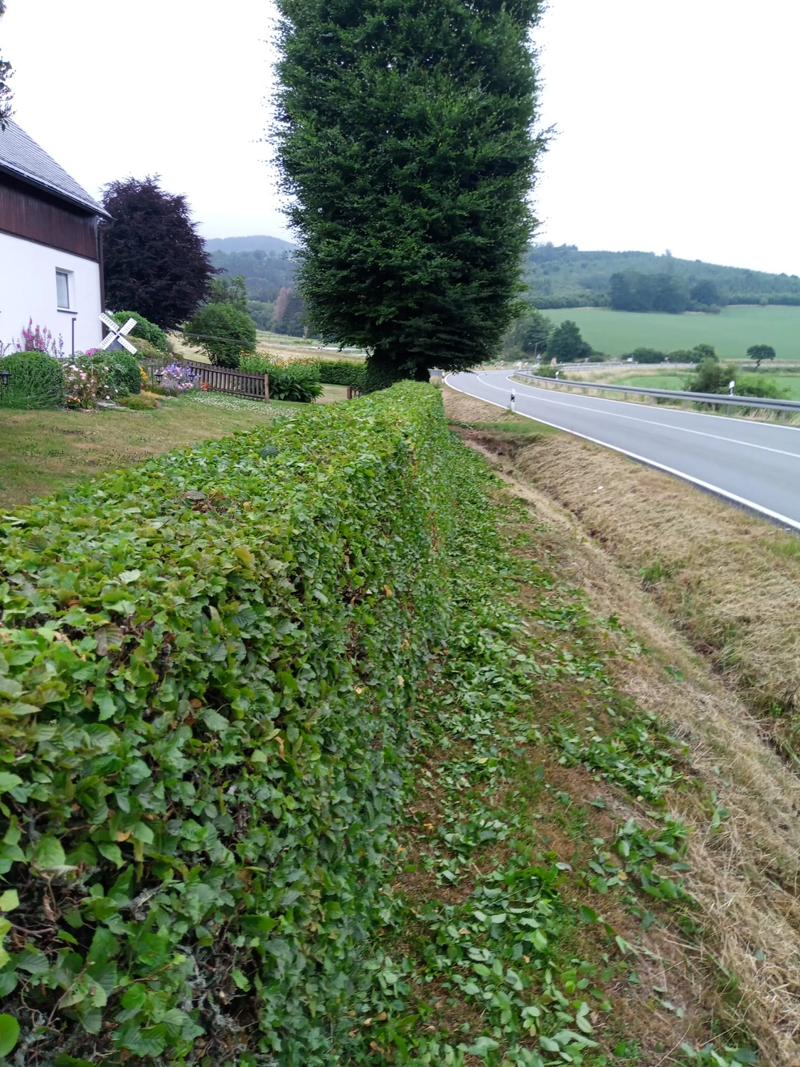 Wald- und Gartenpflege Göddecke – Garten
