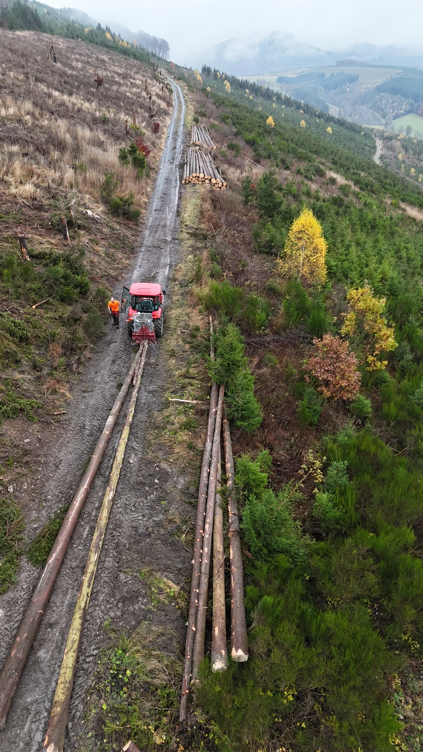 Wald- und Gartenpflege Göddecke – Baumfällung