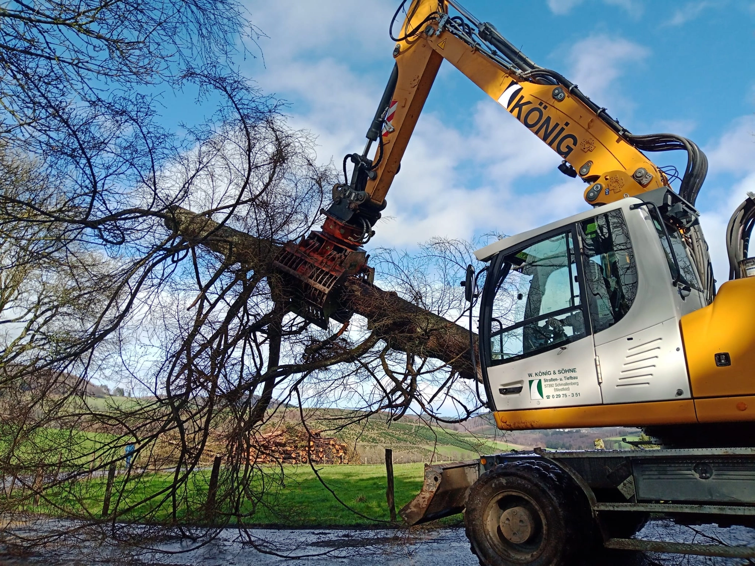 Wald- und Gartenpflege Göddecke – Baumfällung