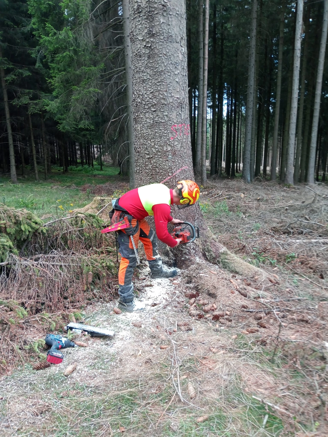 Wald- und Gartenpflege Göddecke – Forstdienstleistungen & Waldpflege