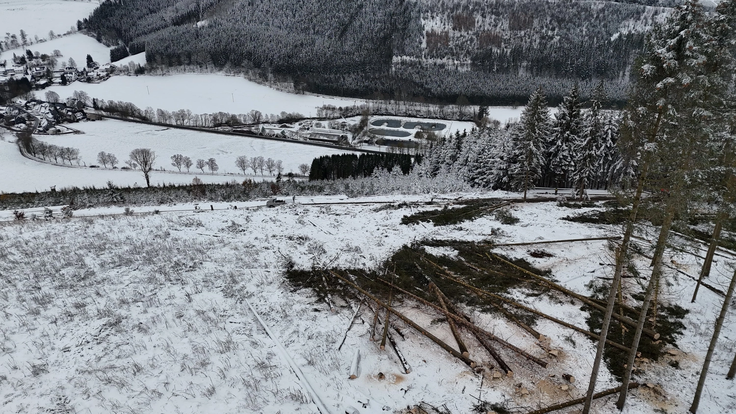 Wald- und Gartenpflege Göddecke – Baumfällung